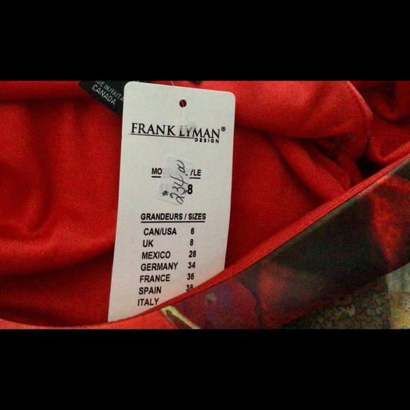 Frank Lyman NWT water color floral print, lovely dress - Picture 4 of 16